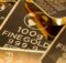 What is Fidelity Gold IRA?